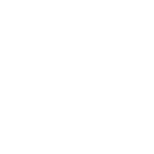 AI Consulting